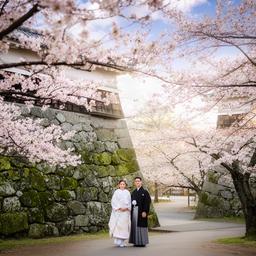 桜と石垣が美しい小田原城址公園の和装前撮りロケーション